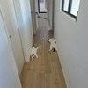 「夏が始まった合図がした」猫あるあるな光景に5.1万いいね「わかりみ風物詩」「うちにも落ちてました」