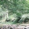 【一番贅沢】我が子との遊びの中で気づいた幸せな時間に1.1万いいね「最高な場所」「冒険楽しそう」