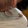 後頭部だけでこんなにかわいい。赤ちゃんの何気ない一枚に4,000いいね「可愛いすぎます」「愛らしすぎる」