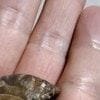 【ほっこり】子どもの世界がぐっと広がった話に3,100いいね「この先が楽しみ」「将来の考古学者」