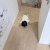 「これはイヤイヤ期の扉を開いていますか？」イヤイヤ期の片鱗を示す息子の写真に共感の声「まさに同じ感じになってたw」