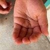だんごむしを連れて帰りたいわが子に「3匹だけだよ」と約束→予想外の爆笑結末に1.5万いいね「おもろすぎるやろ」