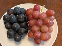 「長野の贅沢ぶどう！」『ナガノパープル』『クイーンルージュ』＆特別な日に飲みたい白ワイン♡