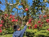 「おいしさがつまってます！」行楽の秋を長野・小諸市で楽しむ！【リンゴ狩り】と【ニジマス釣り】