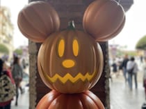 【大人数×子連れで行くディズニーシー】 特別な日はみんなで楽しみ尽くす！