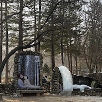 人気『冬のソナタ』の名所！「韓国・南怡島（ナミソム）」に行ってきた！【ソウル在住・編集エミの韓国レポ】