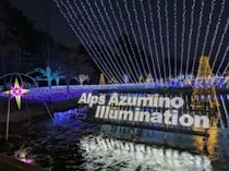 1月末まで開催！【国営アルプスあづみの公園　堀金・穂高地区】のイルミネーション♡