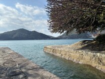 「ロケ地にもなっている！」熊本・三角西港をのんびり歴史探検しませんか？【九州ママ通信Vol.25】