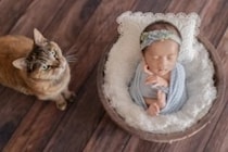 猫ちゃんも出演♡かわいすぎるニューボーンフォト！