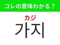 【韓国グルメ編】韓国料理でもよく使われるあの野菜！「가지（カジ）」の意味は？