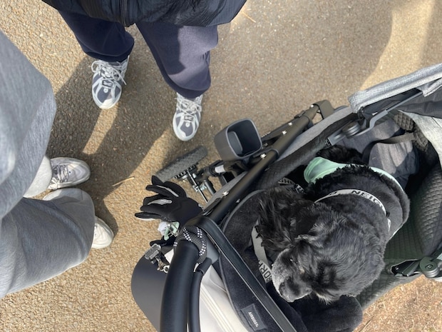 「何かを始めるには春って丁度いい！」無理のない朝活でスタイルも気分も上々！