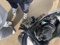 「何かを始めるには春って丁度いい！」無理のない朝活でスタイルも気分も上々！