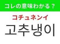 【韓国グルメ編】日本食に欠かせないあの調味料！「고추냉이（コチュネンイ）」の意味は？