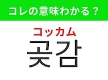 【韓国グルメ編】韓国ならではのヘルシーなあのスイーツ！「곶감（コッカム）」の意味は？
