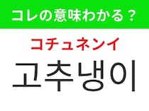 【韓国グルメ編】日本食に欠かせないあの調味料！「고추냉이（コチュネンイ）」の意味は？