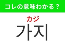 【韓国グルメ編】韓国料理でもよく使われるあの野菜！「가지（カジ）」の意味は？