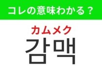 【韓国グルメ編】韓国で人気沸騰の食べ方！「감맥（カムメク）」の意味は？