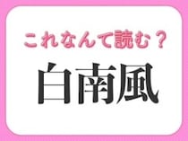 【白南風】はなんて読む？梅雨明けに吹く風のこと