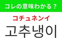 【韓国グルメ編】日本食に欠かせないあの調味料！「고추냉이（コチュネンイ）」の意味は？