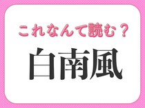 【白南風】はなんて読む？梅雨明けに吹く風のこと