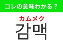 【韓国グルメ編】韓国で人気沸騰の食べ方！「감맥（カムメク）」の意味は？