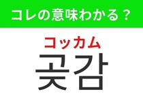 【韓国グルメ編】韓国ならではのヘルシーなあのスイーツ！「곶감（コッカム）」の意味は？
