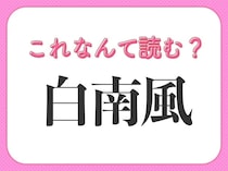【白南風】はなんて読む？梅雨明けに吹く風のこと