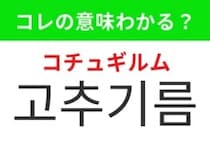 【韓国グルメ編】日本でも人気のピリッと辛いあの調味料！「고추기름（コチュギルム）」の意味は？