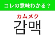 【韓国グルメ編】韓国で人気沸騰の食べ方！「감맥（カムメク）」の意味は？