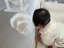 「ねえ僕ちゃんとお話ししよう？」猫に構ってほしい赤ちゃん♡