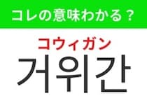 【韓国グルメ編】高級料理として知られるあの食材！「거위간（コウィガン）」の意味は？