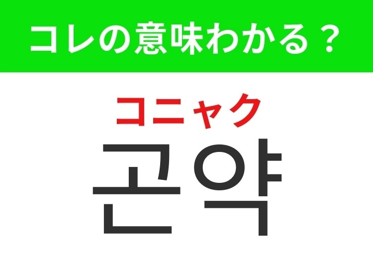 【韓国グルメ編】ダイエット中にもおすすめのヘルシー食材！「곤약（コニャク）」の意味は？