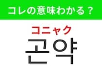 【韓国グルメ編】ダイエット中にもおすすめのヘルシー食材！「곤약（コニャク）」の意味は？