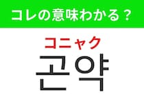 【韓国グルメ編】ダイエット中にもおすすめのヘルシー食材！「곤약（コニャク）」の意味は？