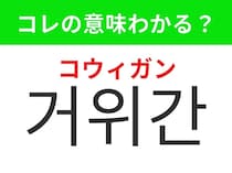 【韓国グルメ編】高級料理として知られるあの食材！「거위간（コウィガン）」の意味は？