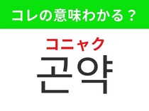 【韓国グルメ編】ダイエット中にもおすすめのヘルシー食材！「곤약（コニャク）」の意味は？