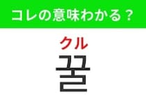 【韓国グルメ編】自然な甘さが魅力のあの食材！「꿀（クル）」の意味は？