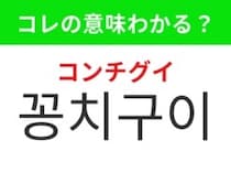 【韓国グルメ編】日本人も秋になると食べたくなるあの料理！「꽁치구이（コンチグイ）」の意味は？