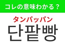 【韓国グルメ編】やさしい甘さの日本発祥のあの食べ物！「단팥빵（タンパッパン）」の意味は？