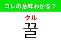 【韓国グルメ編】自然な甘さが魅力のあの食材！「꿀（クル）」の意味は？