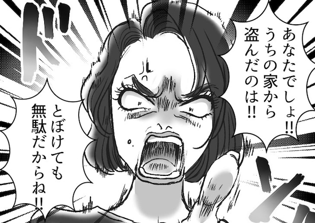 「あら、眺めが悪い5階に住んでる人ねw」“タワマン階数マウント”をとってくるママ友。ある日激怒した様子で家に来たと思ったら⇒「アンタが盗んだんでしょ！」いきなり泥棒呼ばわりしてきて・・・