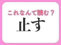 【止す】はなんて読む？「とす」ではありません