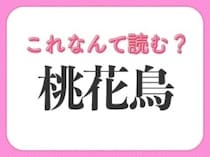 【桃花鳥】はなんて読む？ひらがな2文字の鳥です！