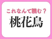【桃花鳥】はなんて読む？ひらがな2文字の鳥です！