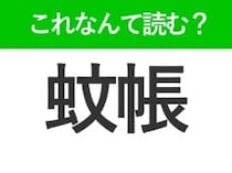 【蚊帳】の読み方はなに？夏に関係する寝具のこと！