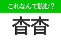 【杳杳】はなんて読む？「きょうきょう」ではありません！