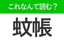 【蚊帳】の読み方はなに？夏に関係する寝具のこと！