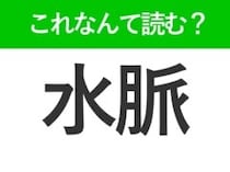 【水脈】はひらがな2文字でなんて読む？すいみゃく以外の読み方があるんです！