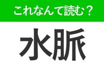【水脈】はひらがな2文字でなんて読む？すいみゃく以外の読み方があるんです！