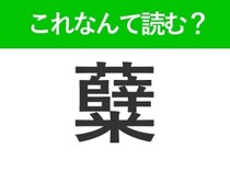 【糵】はなんて読む？有名な野菜を表わす難読漢字！